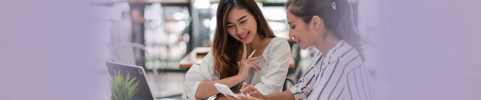 Hi-Tech and Software Segment