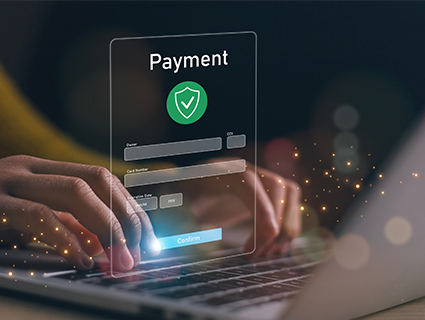 Paymeny gateway development process