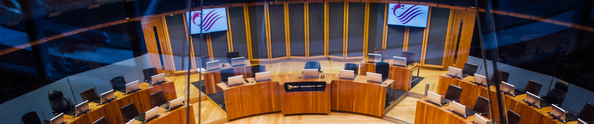 Senedd/Welsh Parliament