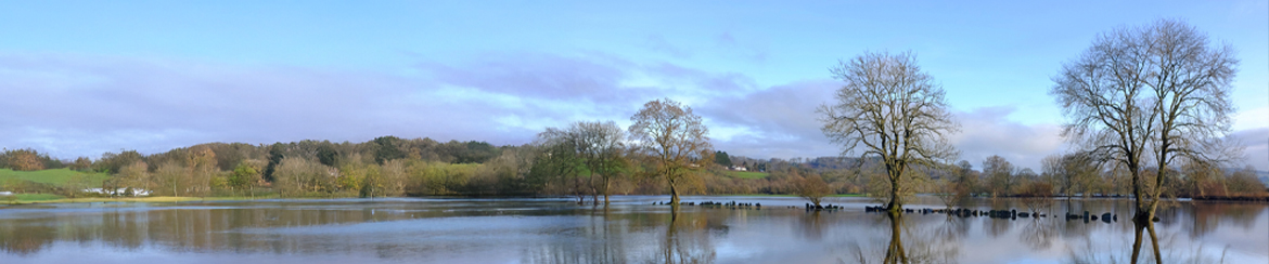 Natural Resource Wales